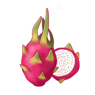 写实手绘新鲜火龙果PNG免抠素材