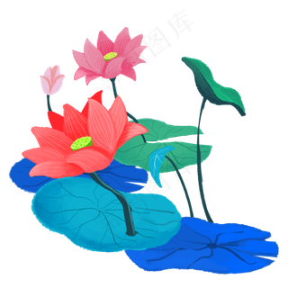 夏季节气荷花荷叶