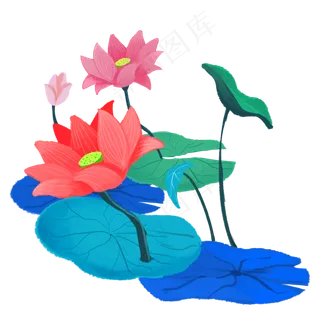 夏季节气荷花荷叶