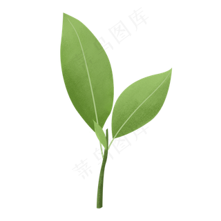 春天清新手绘嫩绿树叶,免抠元素