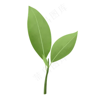 春天清新手绘嫩绿树叶,免抠元素