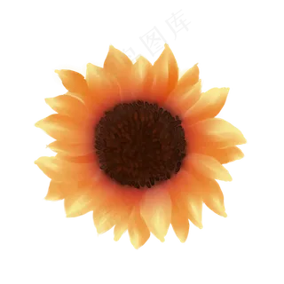 手绘花向日葵元素分层国画中国风