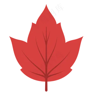 一片扁平化的卡通叶子