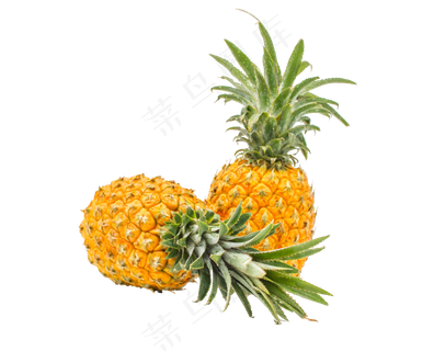 美味水果菠萝