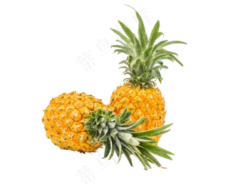 美味水果菠萝