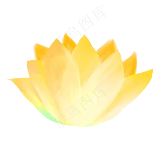 黄色莲花 黄色莲花