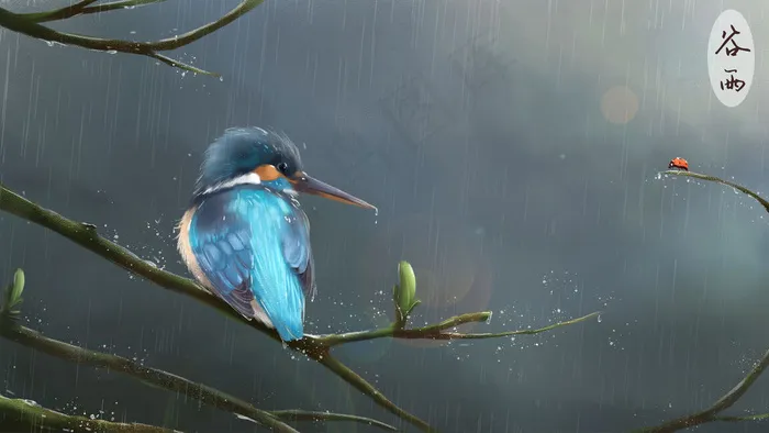 谷雨翠鸟雨水下雨春天(2880X1620(DPI:300))psd模版下载