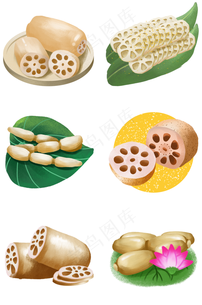 卡通手绘美食原素材荷花果实之莲(2000X3020(DPI:300))psd模版下载