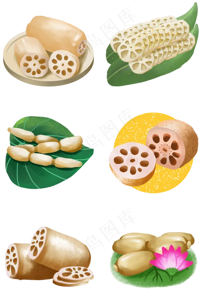 卡通手绘美食原素材荷花果实之莲(2000X3020(DPI:300))psd模版下载