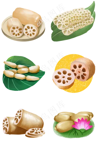 卡通手绘美食原素材荷花果实之莲