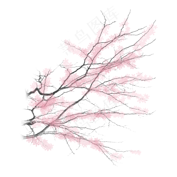 手绘中国风樱花PNG素材,免抠元素