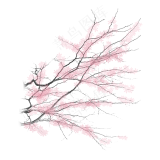 手绘中国风樱花PNG素材,免抠元素