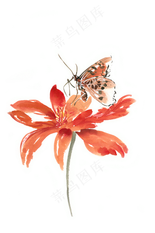 水彩花卉红色花与蝴蝶