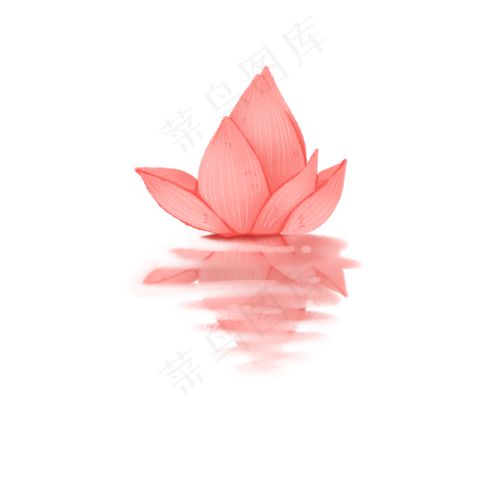高清水中荷花png素材
