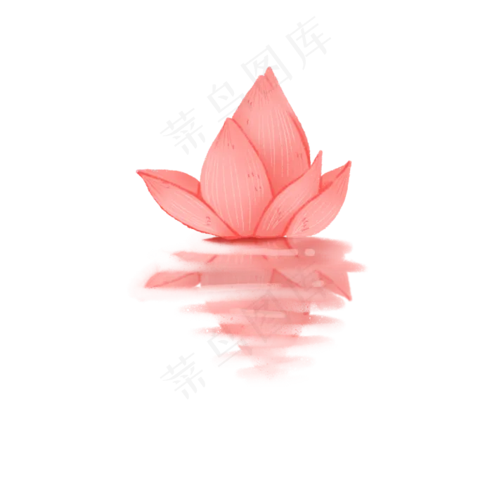 高清水中荷花png素材(2000X2000(DPI:300))psd模版下载