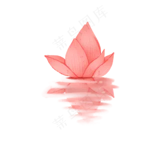 高清水中荷花png素材