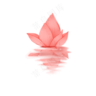 高清水中荷花png素材