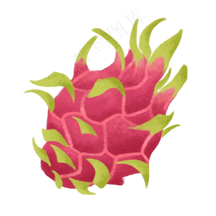 手绘新鲜美味水果火龙果(2000X2000(DPI:300))psd模版下载