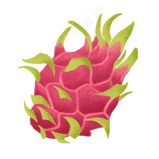 手绘新鲜美味水果火龙果