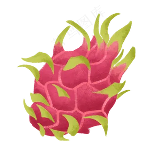 手绘新鲜美味水果火龙果