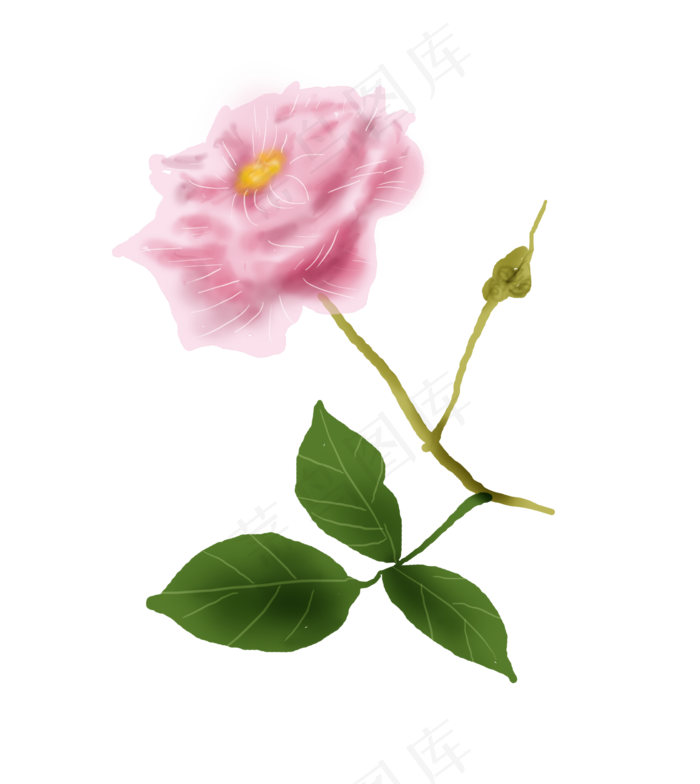七夕情人节手绘玫瑰(2695X3017(DPI:300))psd模版下载