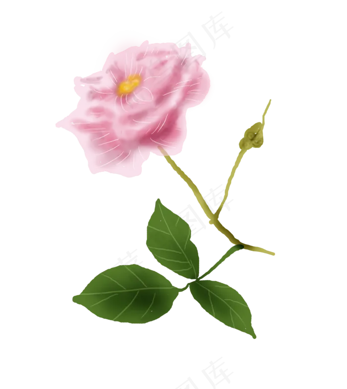七夕情人节手绘玫瑰(2695X3017(DPI:300))psd模版下载
