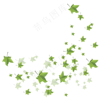 手绘植物树叶漂浮的叶子