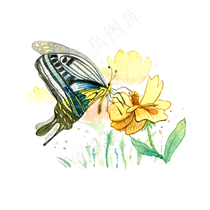 蝴蝶昆虫花卉PNG翅膀美丽淡雅,免抠元素(2000X2000(DPI:200))psd模版下载
