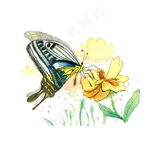 蝴蝶昆虫花卉PNG翅膀美丽淡雅,免抠元素