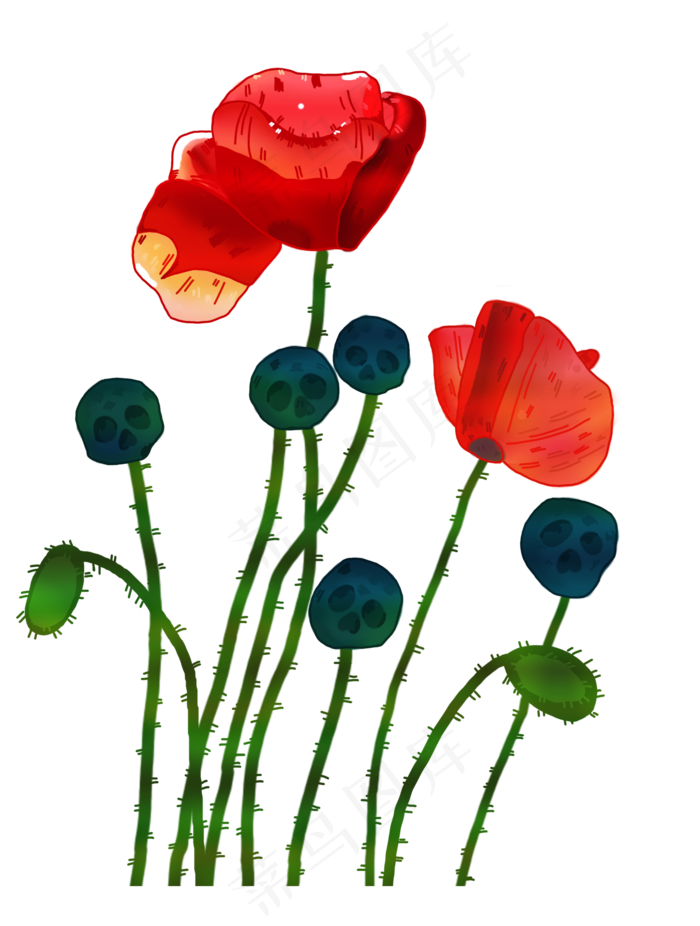 禁止拿罂粟花远离毒品,免抠元素(2000*2645px 150 dpi )psd模版下载