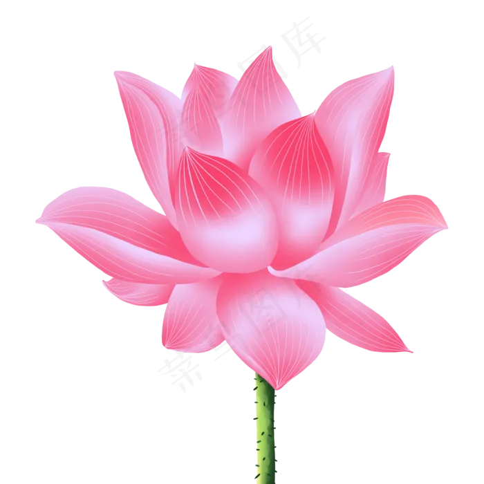手绘花荷花元素分层国画中国风花(2000X2000(DPI:300))psd模版下载