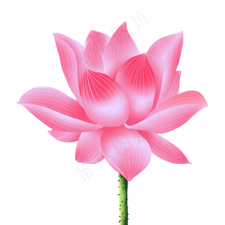 手绘花荷花元素分层国画中国风花