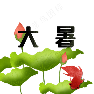 大暑荷叶装饰图