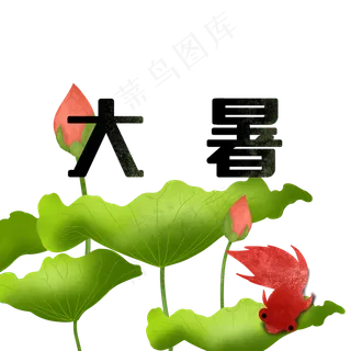 大暑荷叶装饰图