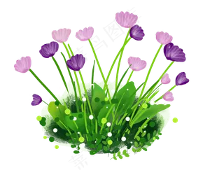 小清新小花小草装饰