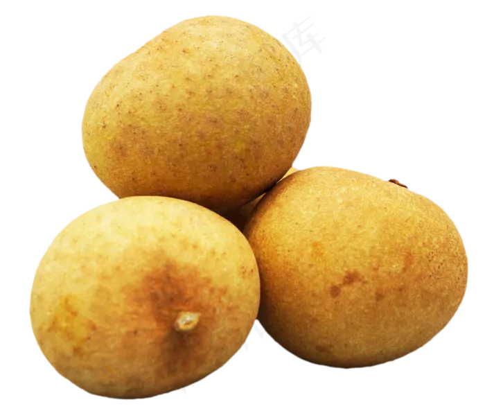 水果果实桂圆(2362*2000px 300 dpi )