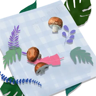 小清新蓝白色格子桌布与植物叶