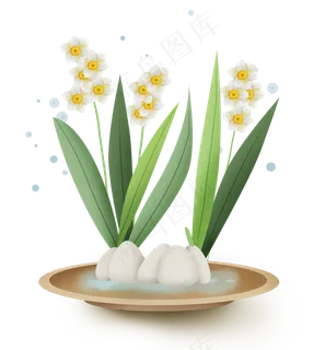 中式古风水仙花