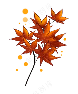 立秋古风红色枫叶