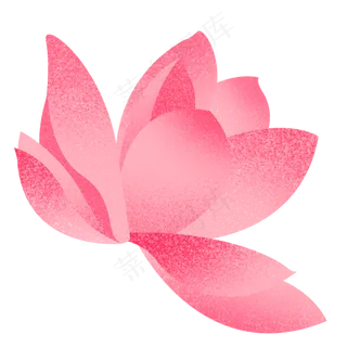 一朵精美的小荷花