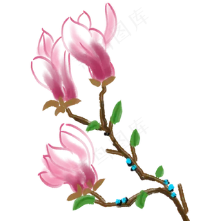 漂亮的紫色玉兰花儿