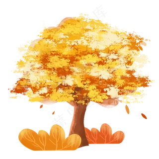 秋天枫树飘叶素材,免抠元素
