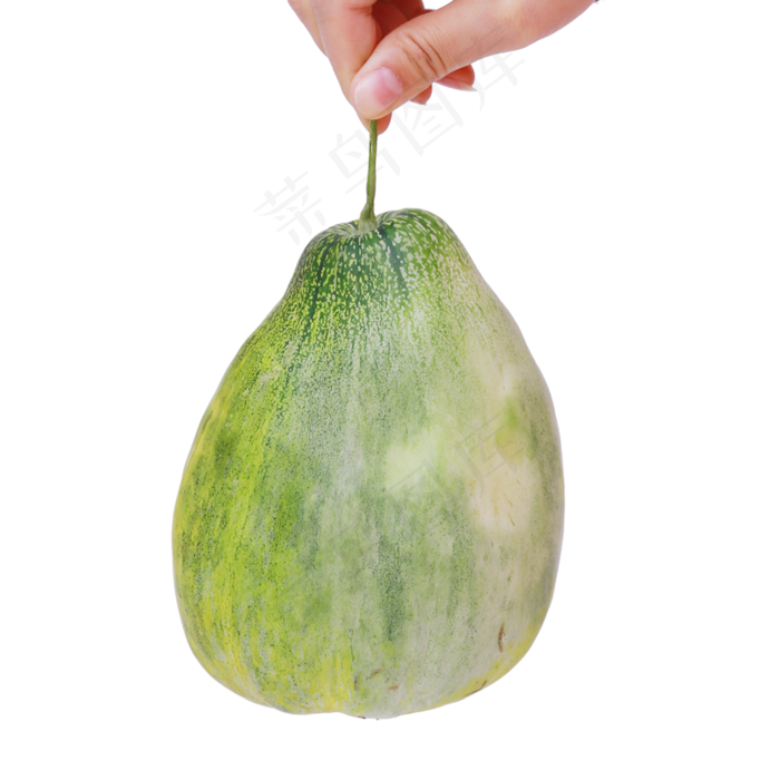 一个香瓜(2000*2000px 300 dpi )