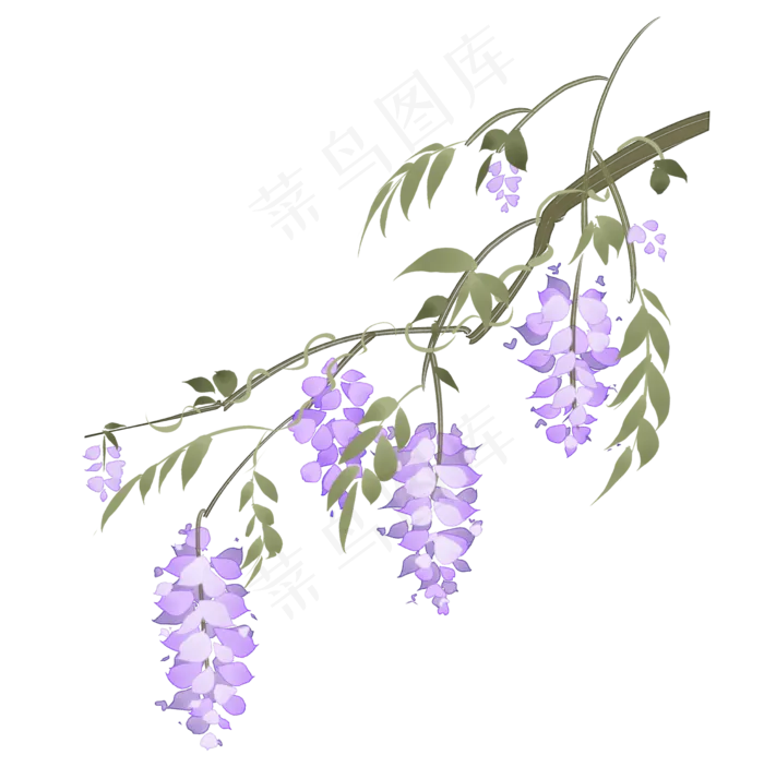 中国风手绘花卉紫藤萝(2470X2480(DPI:300))psd模版下载