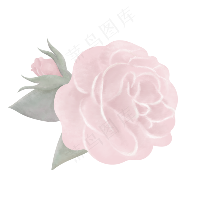 典雅手绘玫红色玫瑰花(2000X2000(DPI:300))psd模版下载