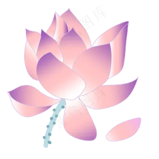 粉色花瓣飘落插图