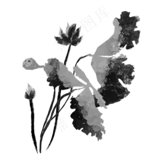 手绘中国风水墨画荷花PNG素材 手绘中国风水墨画荷花PNG素材