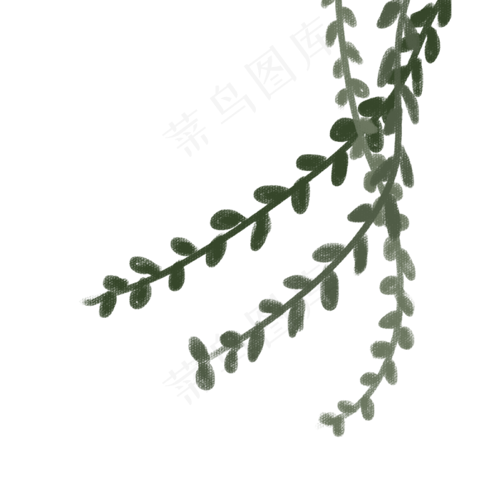 绿色植物叶子下载