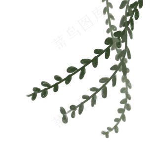 绿色植物叶子下载