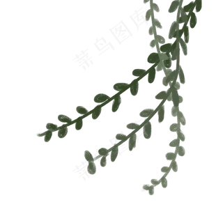 绿色植物叶子下载